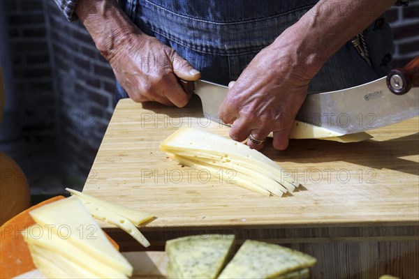 A man cuts chees at the cheese market in Alkmaar., Alkmaar, Netherlands