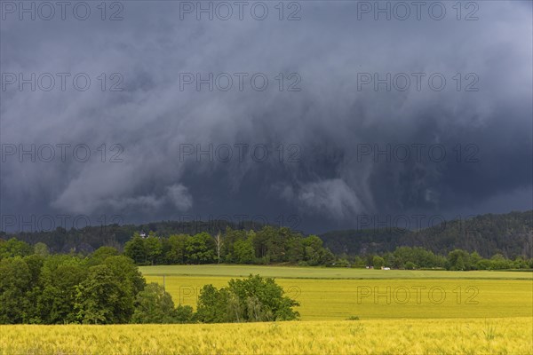 A thunderstorm cell moves over Porschdorf in Saxon Switzerland, thunderstorm, Porschdorf, Saxony,