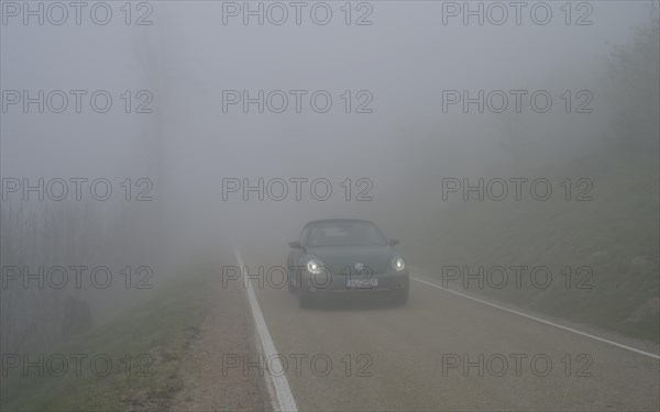 Fog, low visibility, road, forest on Blauen mountain, Badenweiler, Black Forest,
