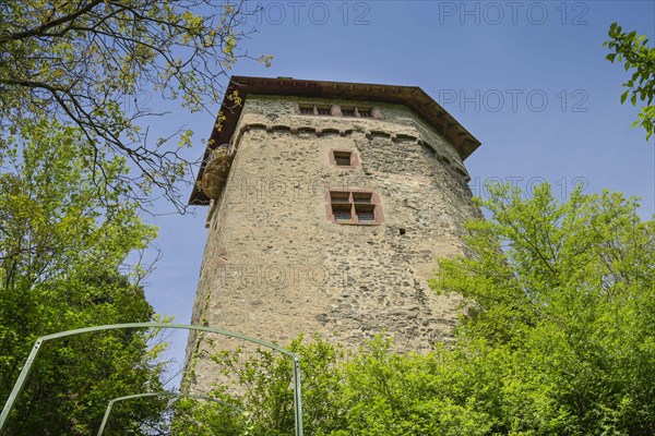 Sponeck Castle, Jechtingen, Sasbach am Kaiserstuhl, Baden-Wuerttemberg, Germany, Europe