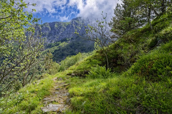 Hiking trail at Passo Croce in the Garfagnana mountain landscape to the peaks of the Apuan Alps,