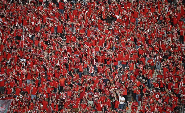 Fan curve, fan block, many fans in red, atmospheric, 1. FC Kaiserslautern, 81st DFB Cup Final 2024,