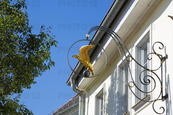 Inn sign, pub, restaurant, figure of a golden eagle, advertising sign, Hotel Adler am Schloss, nose