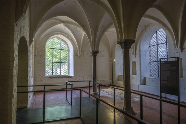Castle monastery as part of the European Hanseatic Museum, An der Untertrave, Luebeck,