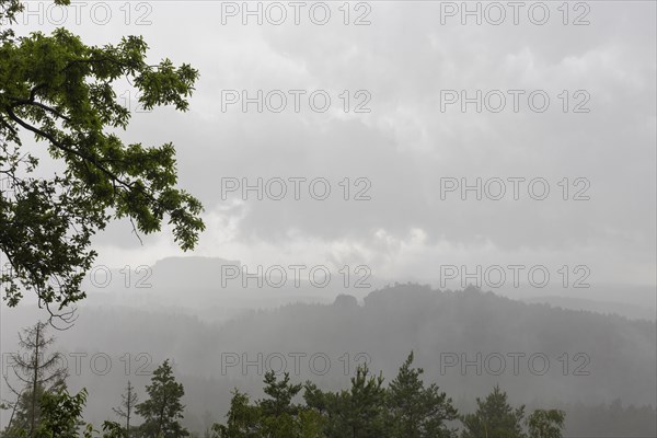 View from the goat's back in Saxon Switzerland during a thunderstorm, cloudburst, Hohnstein,