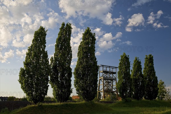 Gneisenau district park with the double trestle structure of the disused colliery, Derne, Dortmund,