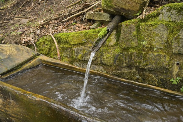 Wooden trough, well, fresh water, forest on Blauen mountain, Badenweiler, Black Forest,