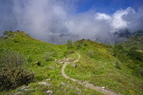 Hiking trail at Passo Croce in the Garfagnana mountain landscape to the cloudy peaks of the Apuan