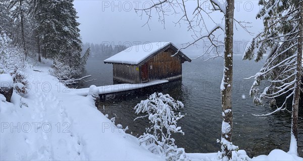 Snowfall at Spitzingsee, Bavaria, Germany, Europe