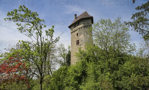 Sponeck Castle, Jechtingen, Sasbach am Kaiserstuhl, Baden-Wuerttemberg, Germany, Europe