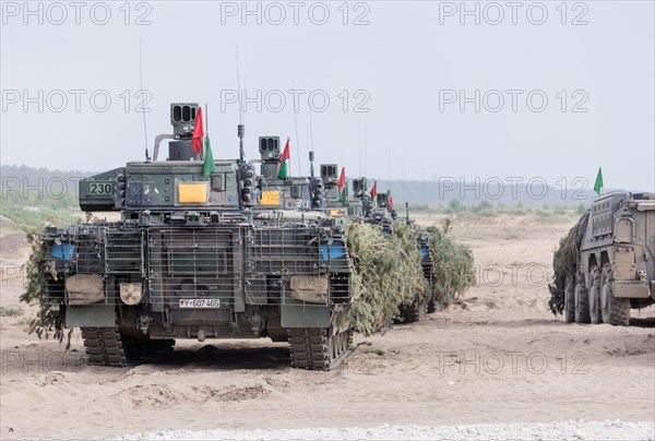 Cougar infantry fighting vehicles are camouflaged and deployed as part of the NATO Steadfast