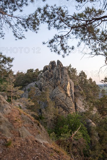 Sunrise at the Hamburg coat of arms, Devil's Wall in the Harz Mountains, Timmenrode, Saxony-Anhalt,