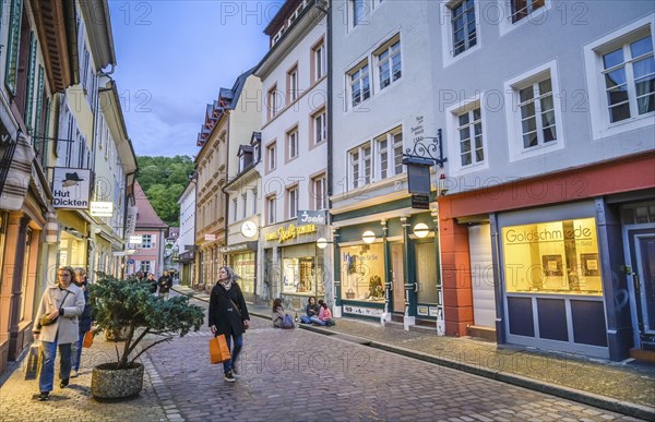Shops, Schusterstrasse, Freiburg im Breisgau, Baden-Wuerttemberg, Germany, Europe