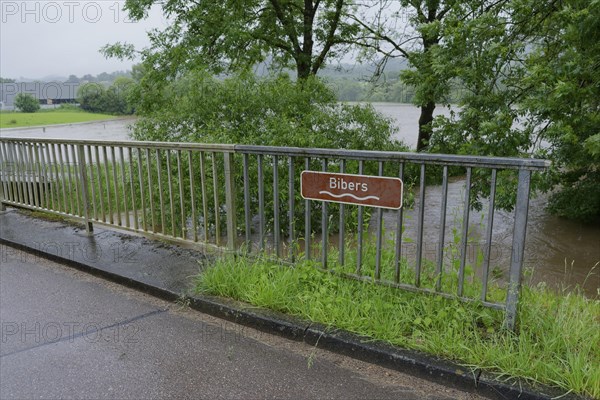 Flood in late spring 2024 at the mouth of the Beaver into the Kocher near Westheim, flood event,