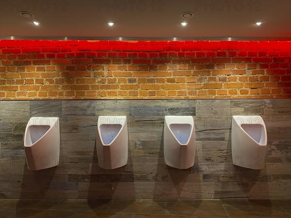 Urinal, Toilet, Leipzig, Saxony, Germany, Europe