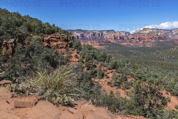 Red rock sandstone formations seen along the Devil's Bridge Trail in Sedona, Arizona, USA, North