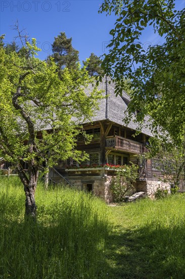 Traditionally built, old Black Forest house, Haldenhof, built around 1669, original location: