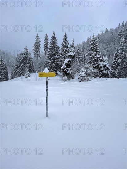 Snowfall at Spitzingsattel, hiking signpost, Bavaria, Germany, Europe