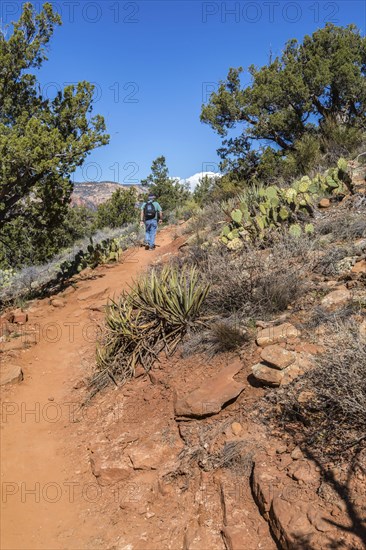 Senior man hiking a trail in Sedona, Arizona, USA, North America
