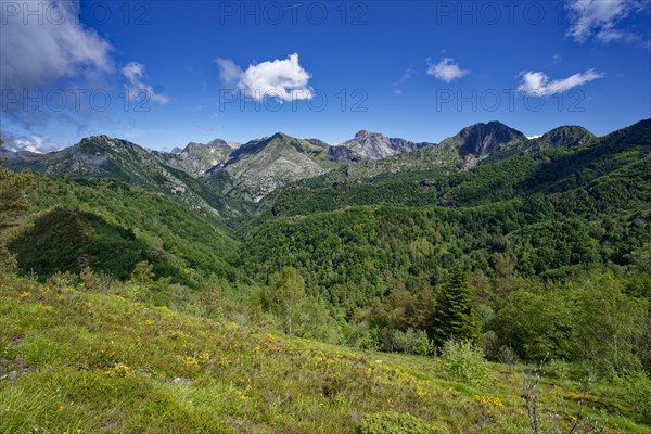 Mountain panorama from Passo Croce in the Garfagnana mountain landscape to the peaks of the Apuan