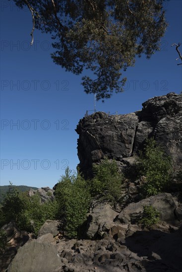 Grandfather Rock, part of the Devil's Wall, Blankenburg, Saxony-Anhalt, Germany, Europe