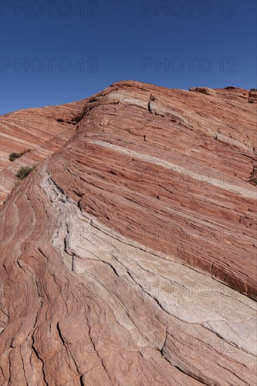 Layered rock formations along the Fire Wave Trail at Valley of Fire State Park near Overton,
