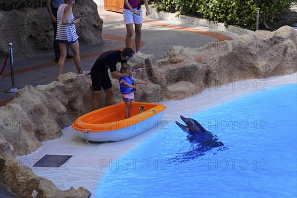 Loro Parque, Puerto de la Cruz, Santa Cruz de Tenerife, Tenerife, Canary Islands, Spain, Europe, A