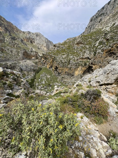 Kourtaliotiko Gorge Kourtalioti Kourtaliotiko Gorge Kourtialoti Gorge, Crete, Greece, Europe