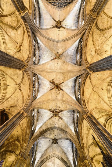 Interior view, La Catedral de la Santa Creu i Santa Eulalia, Barri Gotic, Barcelona, Catalonia,