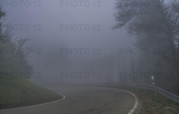 Fog, low visibility, road, forest on Blauen mountain, Badenweiler, Black Forest,