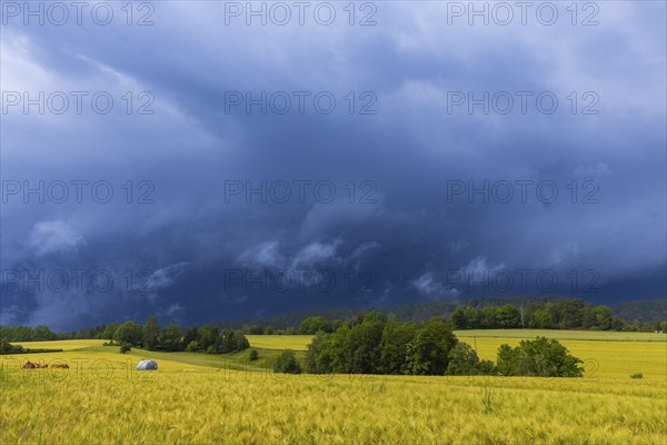 A thunderstorm cell moves over Porschdorf in Saxon Switzerland, thunderstorm, Porschdorf, Saxony,