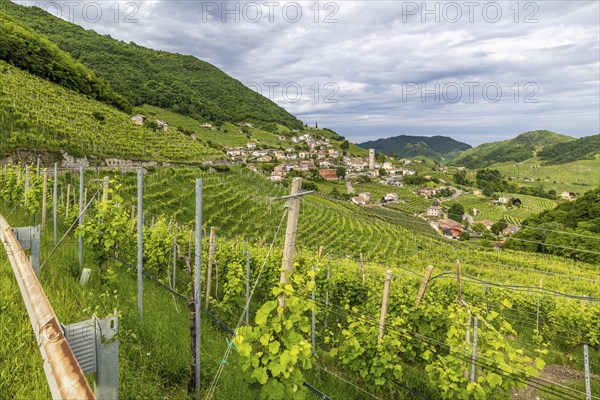 Landscape, wine tour, world heritage site, wine presses, wine-growing area, region, Prosecco,