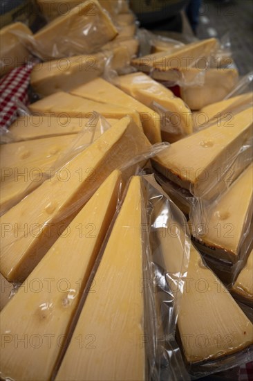 Dutch cheese on display in the town of Alkmaar on a market day., Alkmaar, The Netherlands, Europe