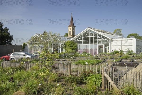 Graefin von Zeppelin perennial nursery, Sulzburg, Baden-Wuerttemberg, Germany, Europe