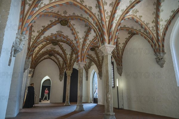 Chapter House, Burgkloster as part of the European Hansemuseum, An der Untertrave, Luebeck,