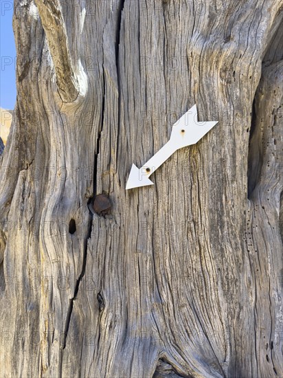 Arrow-marked projectile fired in 1866 by Turks Ottomans Ottoman Empire during attack on Arkadi