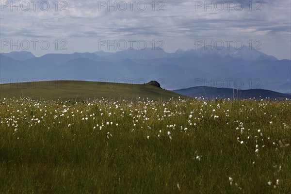 Saualpe, view to the Karawanken, Carinthia, Austria, Europe