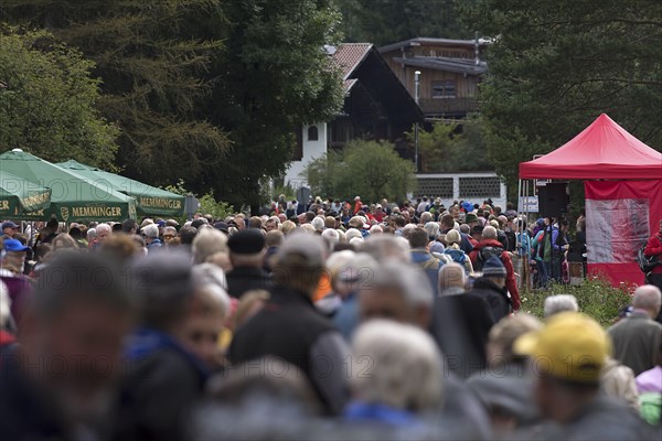 Crowd at the cattle seperation in Bad Hindelang, Allgaeu, Bavaria, Germany, Europe