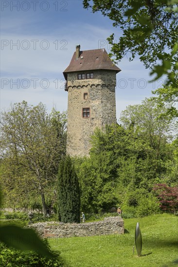Sponeck Castle, Jechtingen, Sasbach am Kaiserstuhl, Baden-Wuerttemberg, Germany, Europe