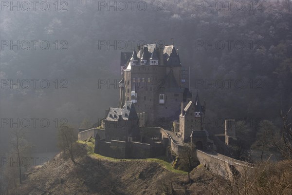 View of Eltz Castle. A landscape in autumn on a frosty morning with ripe and fog. The famous castle