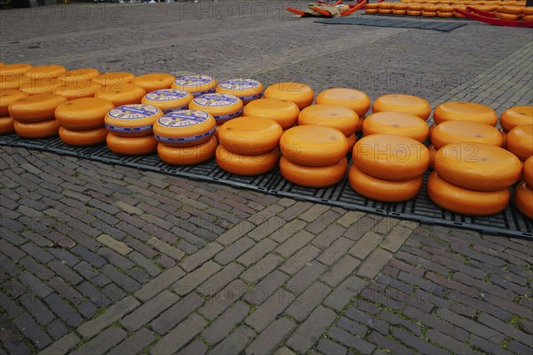 Beemster cheese on display at a Friday market. Alkmaar, Netherlands
