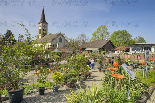 Graefin von Zeppelin perennial nursery, Sulzburg, Baden-Wuerttemberg, Germany, Europe