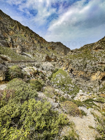 View into the gorge of Kourtaliotiko Kourtalioti Kourtaliotiko gorge Kourtialoti gorge, in the