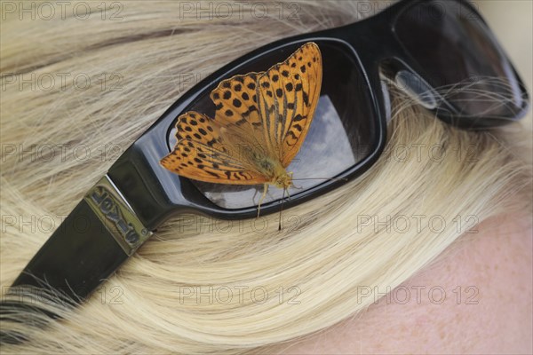 Emperor's cloak sits on a young woman's sunglasses and absorbs sweat