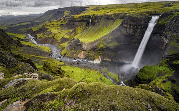 River and waterfalls at a canyon with green moss, Haifoss and Granni waterfall at a canyon, Fossá í