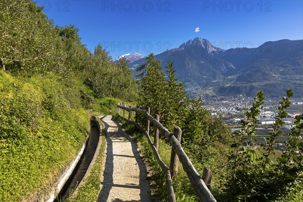 On the Marlinger Waalweg via Merano, South Tyrol