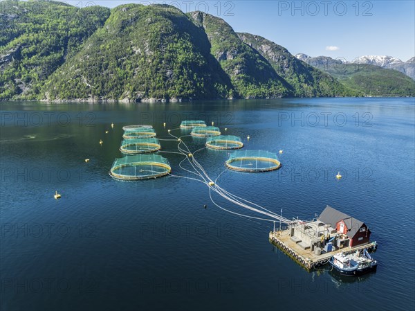 Floating cages of a salmon farm, Hardangerfjord near Bondhus, aerial view, Hardanger, Norway,