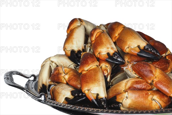 Pile of fresh boiled crab claws on a silver tray, isolated on white background
