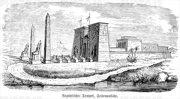 Egyptian temple, side view, selenium, statues, entrance gate, river, palm trees, path, wall, Egypt,