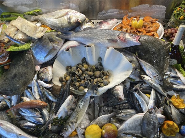 Display in a fish restaurant, fresh fish, fresh fish, fish of the day, mussels, prawns, sea bream,